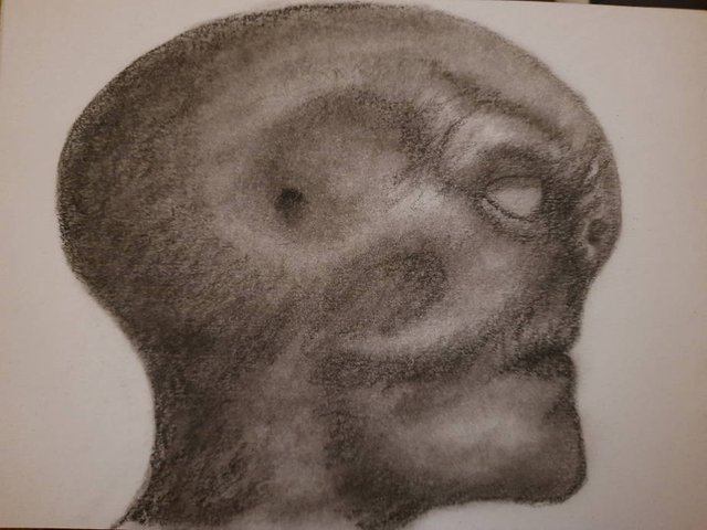 20250815_105643.jpg