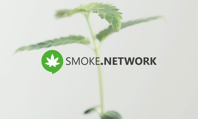 smoke-network-newsbtc.jpg