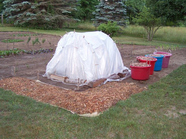 New Herb garden - wood chips1 crop June 2016.jpg