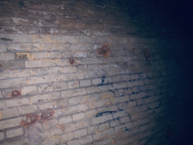image.jpeg