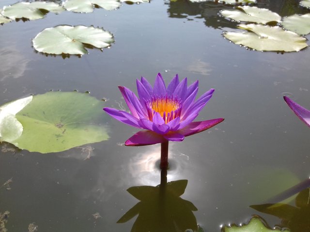 20190517_145019.jpg