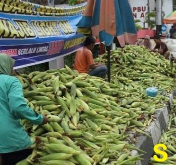 pasar jagung.jpg