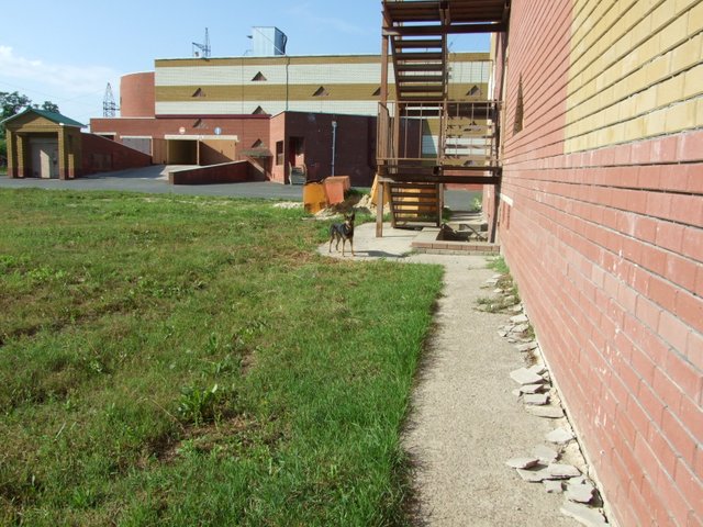 DSCF0908.JPG