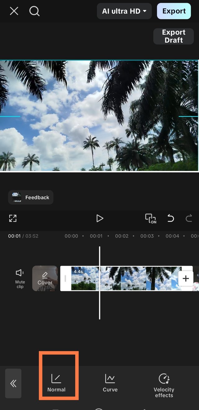 1001165202.jpg