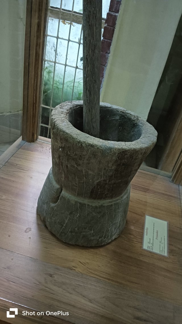 1000008739.jpg