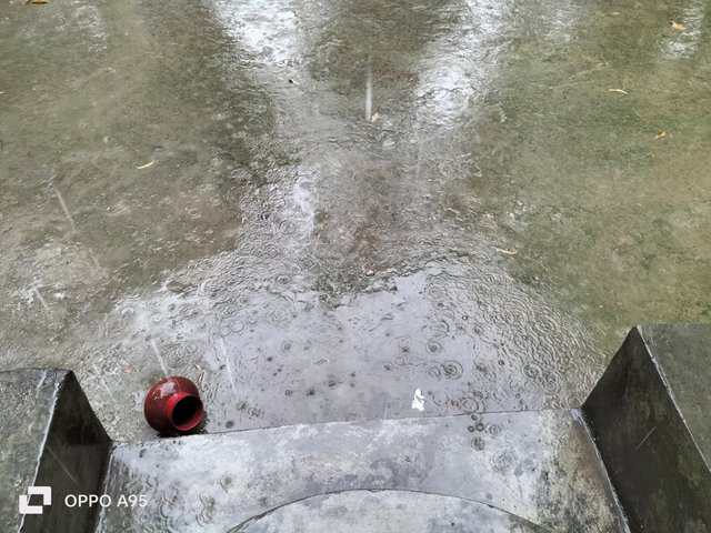 IMG20250421082545.jpg