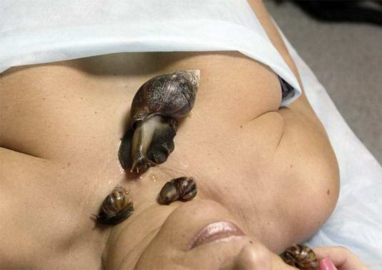 snail-massage-2%255B2%255D.jpg