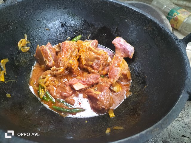IMG20250501111920.jpg