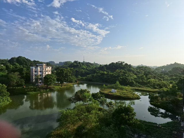 20241022_073139.jpg