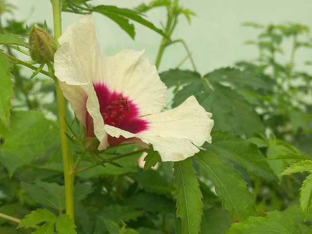 20241016_085040.jpg