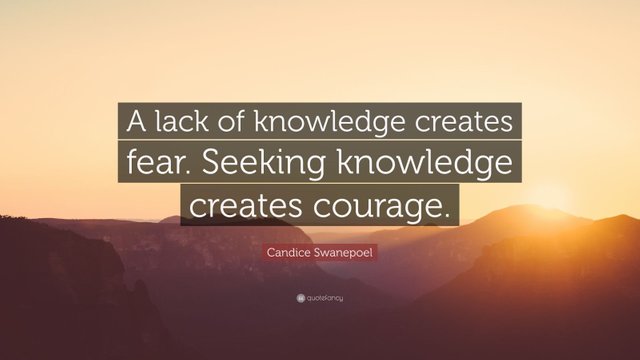 4701465-Candice-Swanepoel-Quote-A-lack-of-knowledge-creates-fear-Seeking.jpg