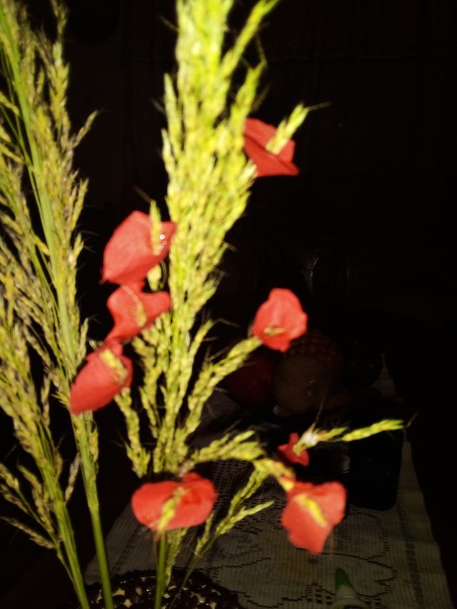 20210406_212222.jpg