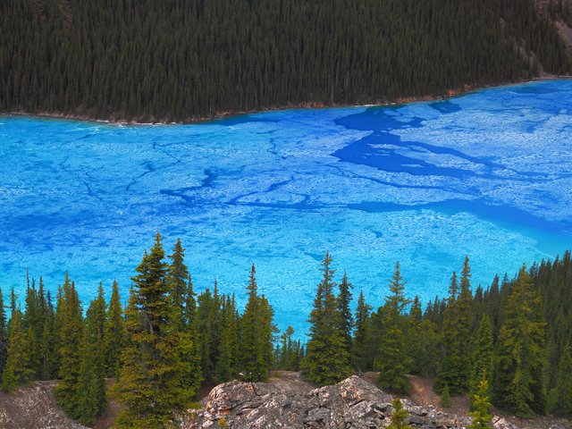 20170602-131922-peyto-lake-thawing-blue.jpg