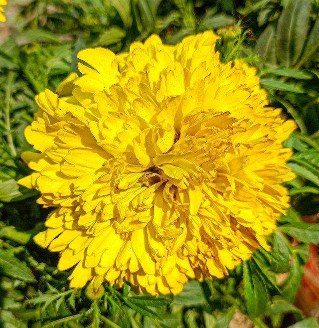 IMG20250209121316.jpg