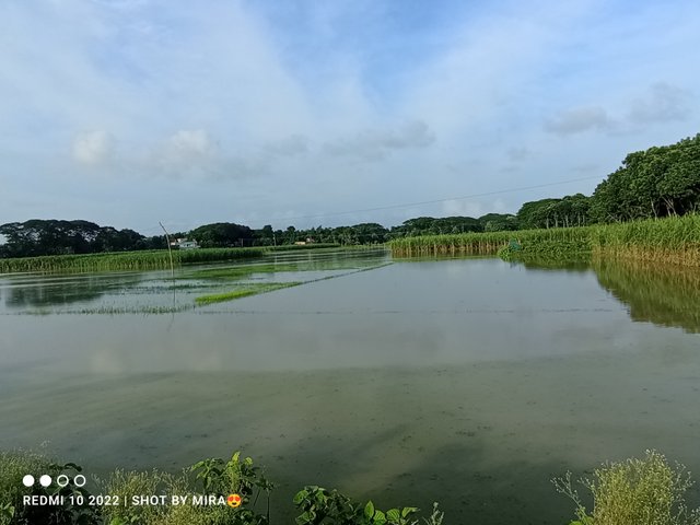 IMG_20250726_172942.jpg