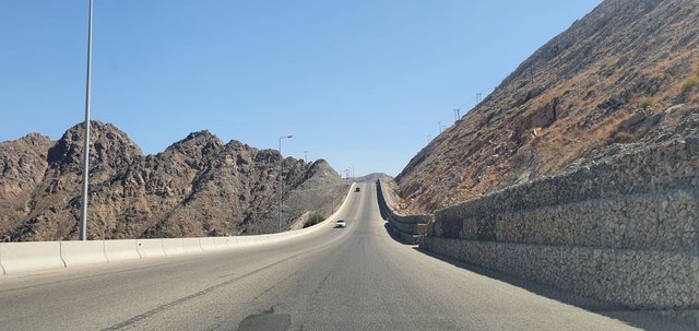 20201031_120509.jpg