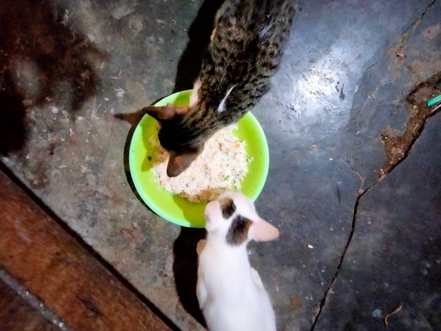 IMG20250513082842.jpg