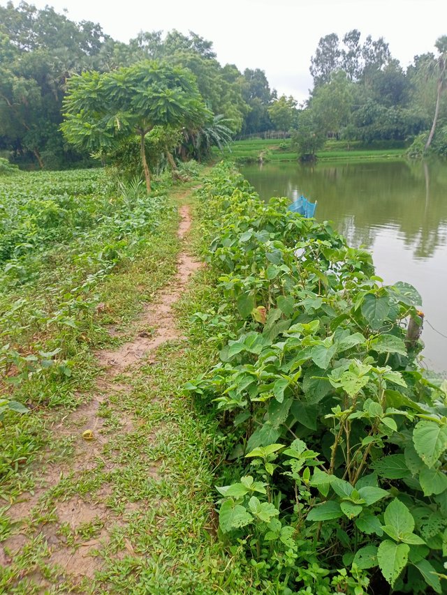 IMG20250914165934.jpg