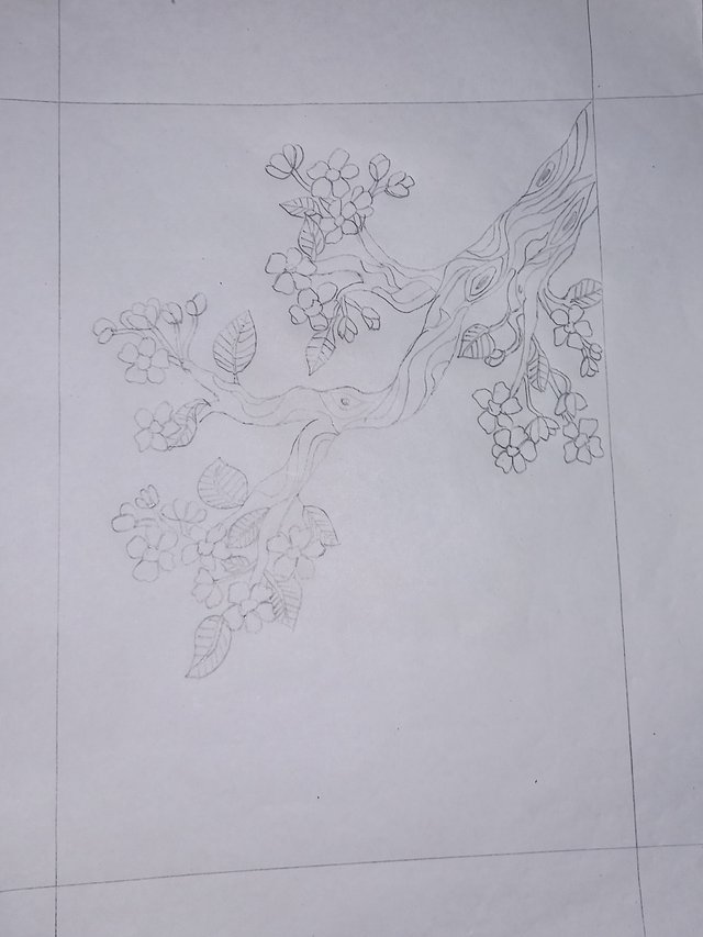 20251025_115424.jpg