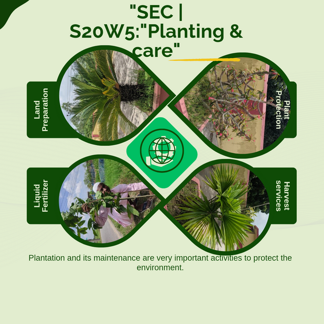 Yellow and Green Organic Agriculture Business Promo Instagram Post_20241004_091657_0000.png