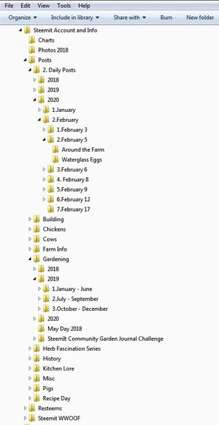 Steemit files crop February 2020.jpg