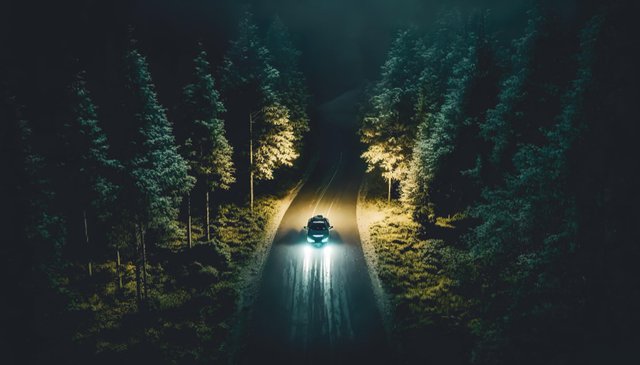 car-is-driving-road-night-forest.jpg