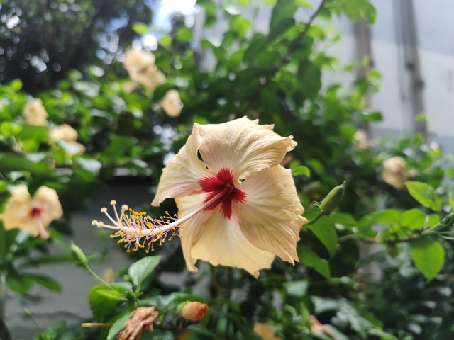 IMG_20250708_132745.jpg