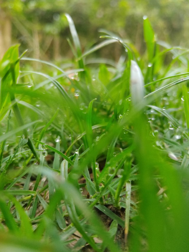 IMG_20250422_062531.jpg