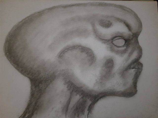 20250810_092206.jpg