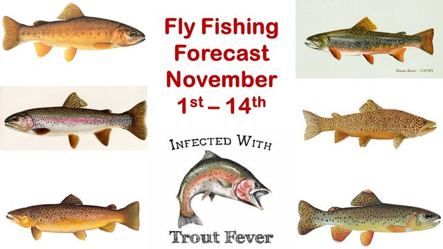 FlyFishingForecast_191101.jpg