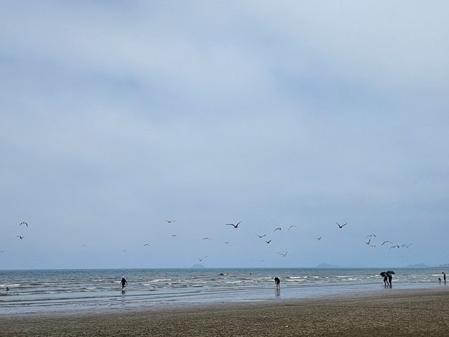 20250804_123720.jpg