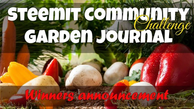 steemit community graden journal challenge winners.jpg