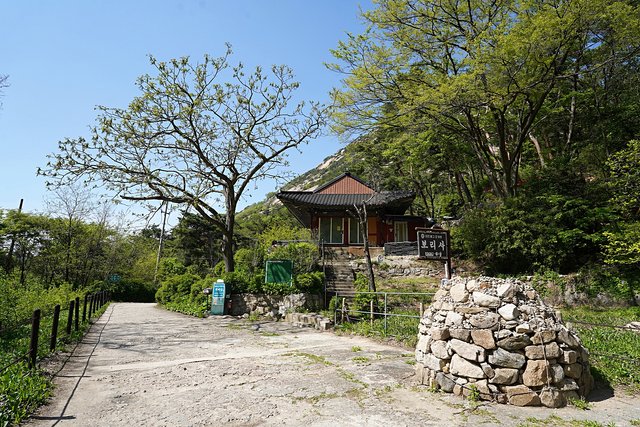 DSC08800.JPG