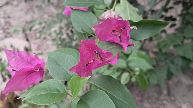 20250509_161325.jpg