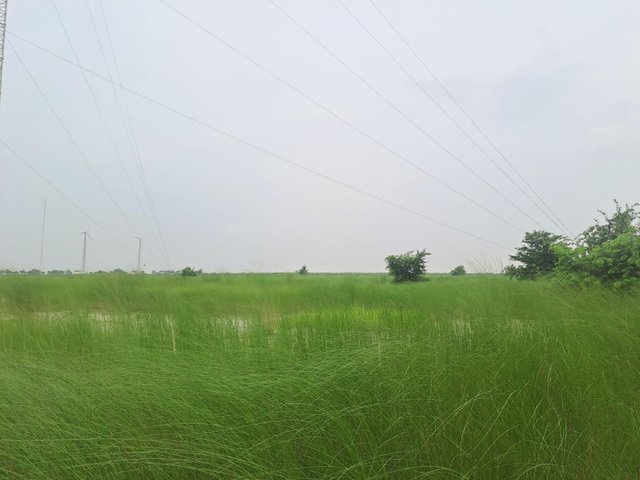 IMG-20250814-WA0001.jpg