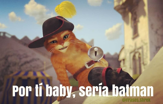 El gato de shrek — Steemit