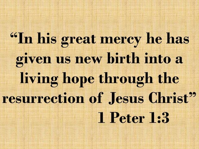 Believe in Jesus. In his great mercy he has given us new birth into a living hope through the resurrection of Jesus Christ.jpg