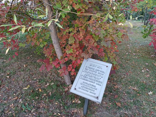 20250920_184040.jpg