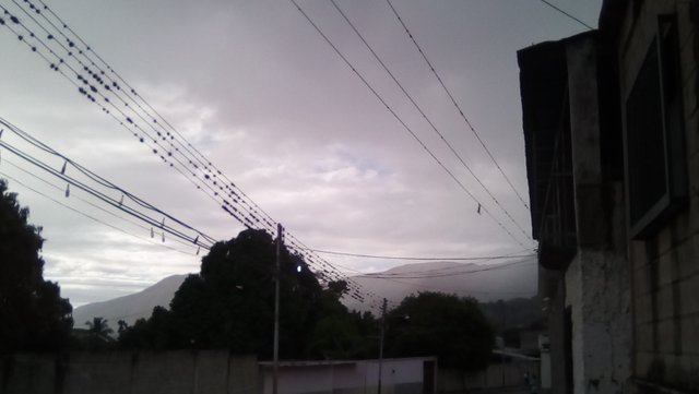IMG_20210219_080108.jpg