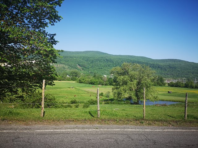 IMG_20180529_091912.jpg