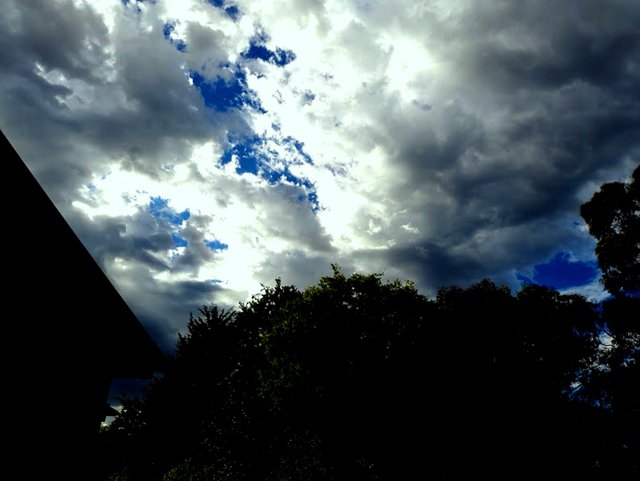 20240126_082055.jpg