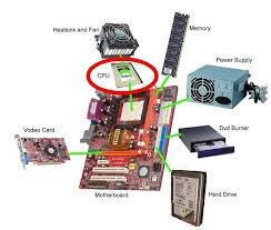 images (15).jpeg
