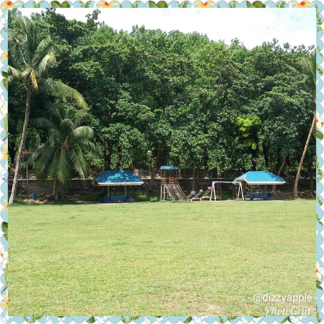 PhotoGrid_1529581005473.jpg