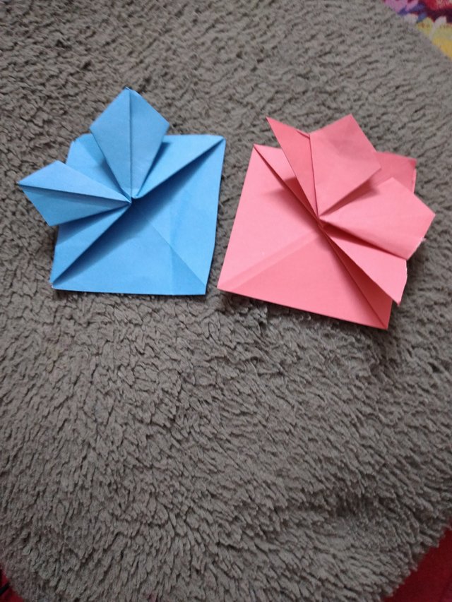 20250524_223333.jpg