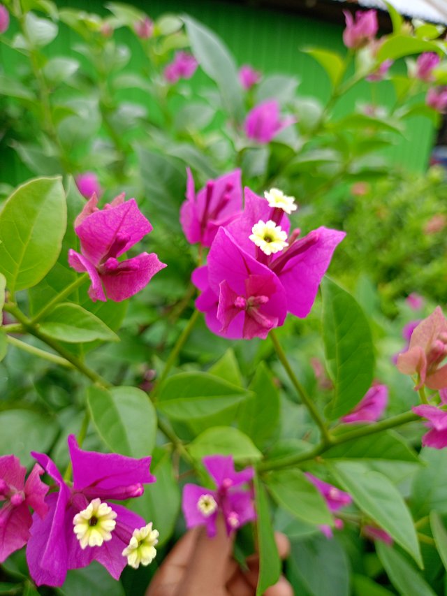 IMG20240630114429.jpg