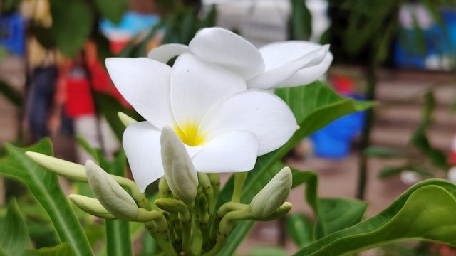 IMG-20251002-WA0025.