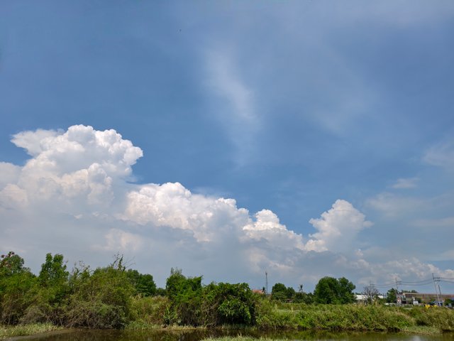 IMG_20250506_102421.jpg