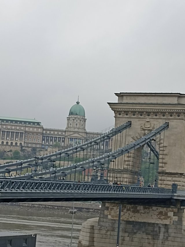 IMG_20250415_101316.jpg