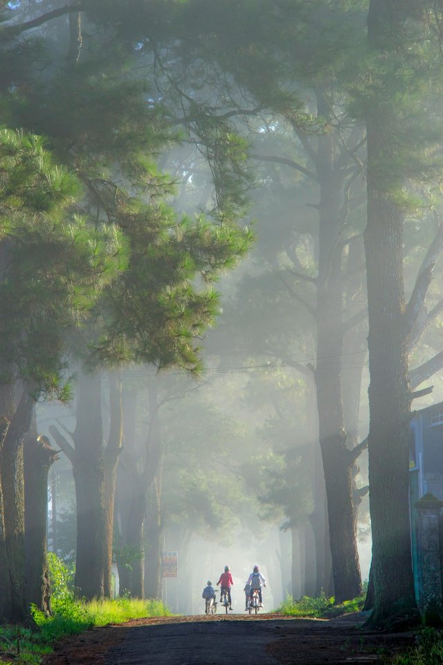 street-7467503_1920.jpg