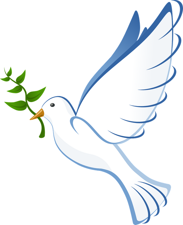 dove-41260_1280.png